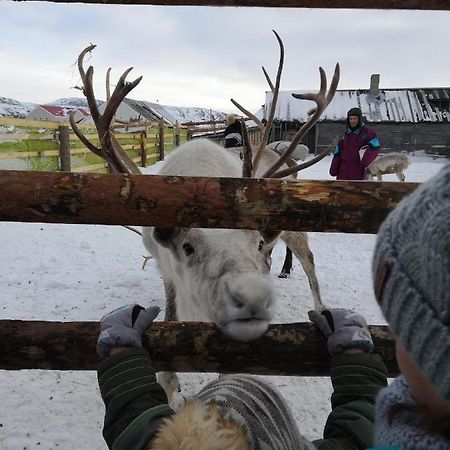 Uiutnaia Kvartira V Teriberke Appartamento Teriberka  Esterno foto