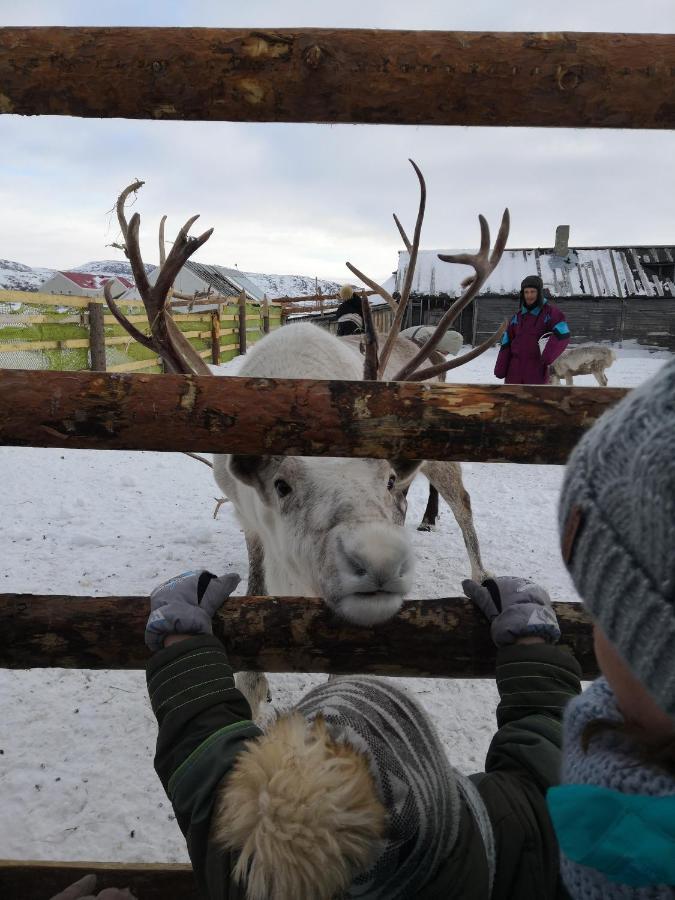 Uiutnaia Kvartira V Teriberke Appartamento Teriberka  Esterno foto